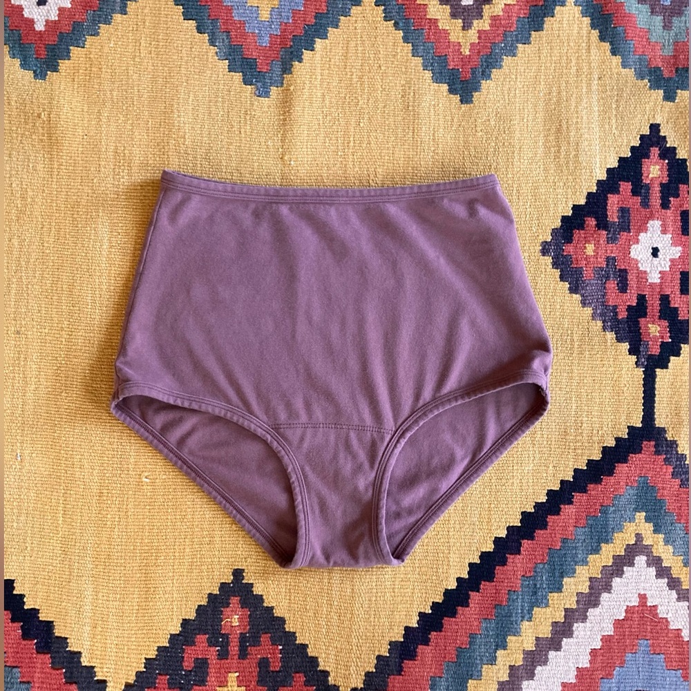 ARQ High Waisted Undies in Spice / Size M